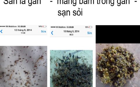 9480_7e4b4a077c4f00993574d49417c75eca