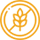 solution icon1.png